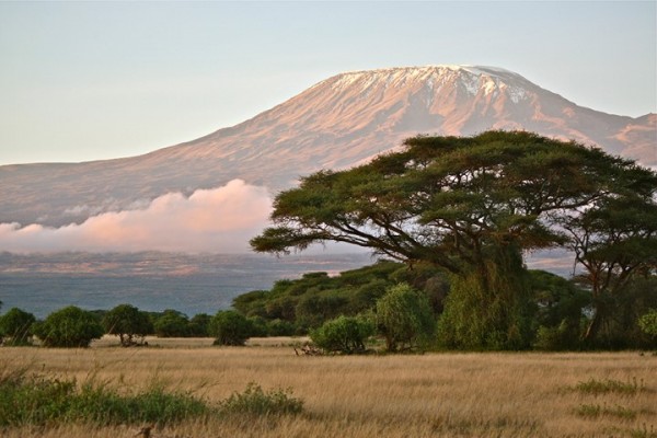 Килиманджаро маршрут Марангу