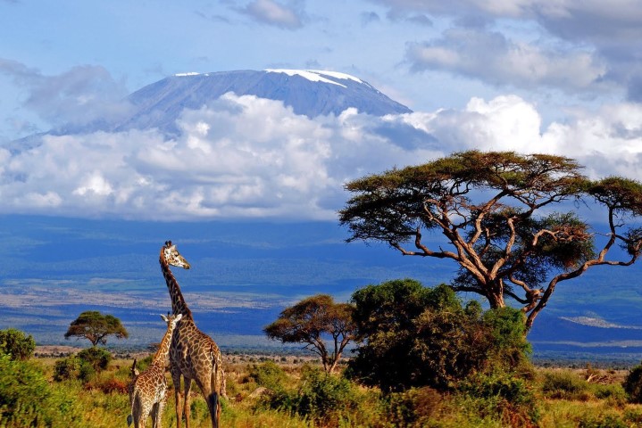 Танзания Килиманджаро